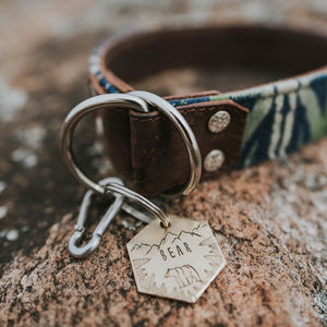 Teddy- Simple Style - Copper Paws Dog Tags