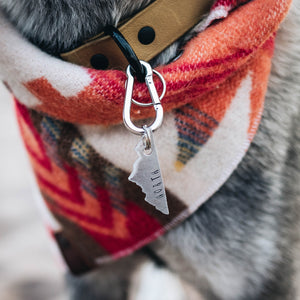 Mountaineer- Simple Style - Copper Paws Dog Tags