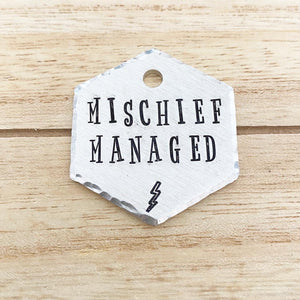 Mischief Managed- Fandom Series