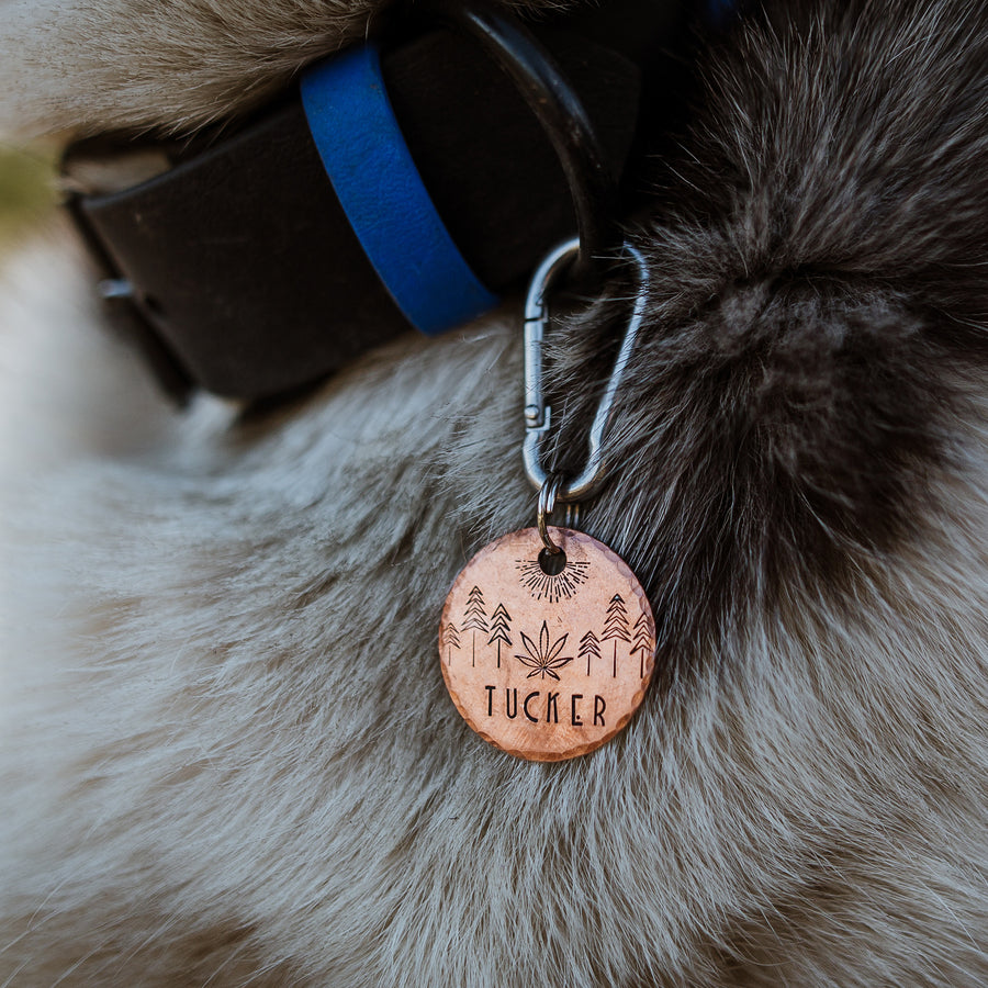 Baker- Simple Style - Copper Paws Dog Tags