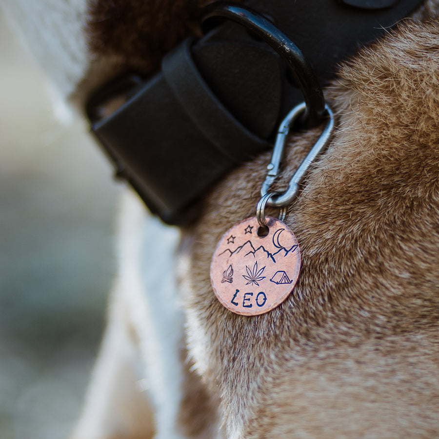 Bud- Simple Style - Copper Paws Dog Tags