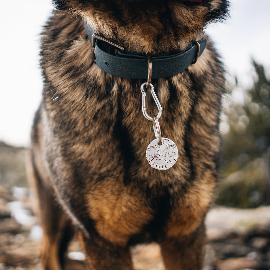 Midnight- Simple Style - Copper Paws Dog Tags